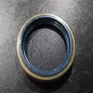 B1 OIL SEAL